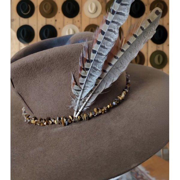 IMG-20251027-WA0029 Fedora Craneo